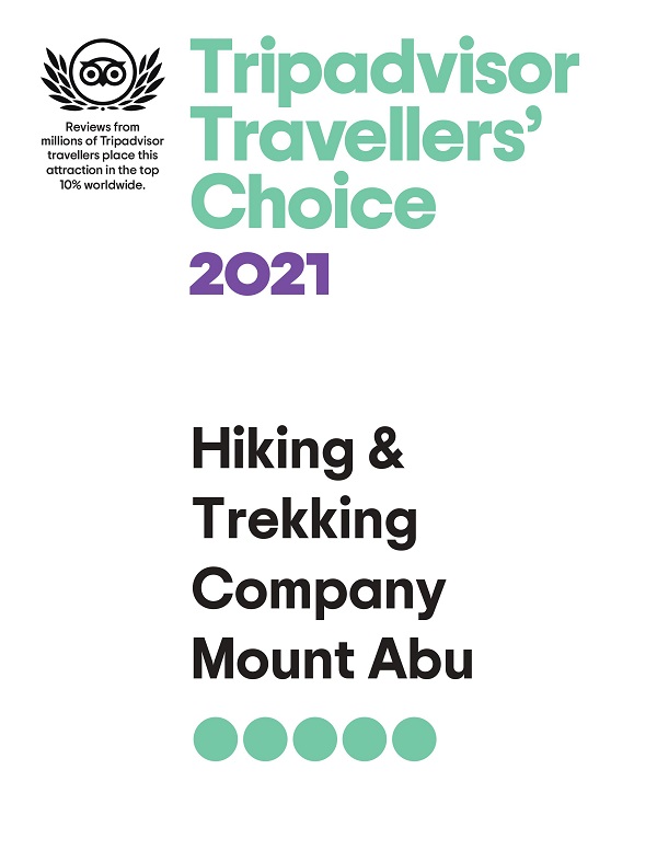 tripadvisor choice awards 2021