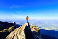 gallery_15-1