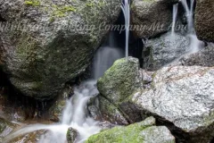 gallery_2