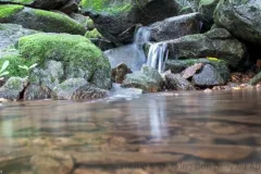 gallery_4