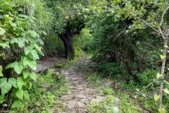 gallery_5-2