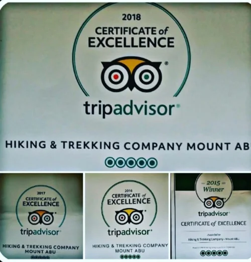 trip-advisor-review-1